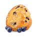 画像1: Blueberry Muffin ブルーベリーマフィン FUMARI 100g (1)