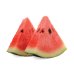 画像1: Watermelon Sugarush ウォーターメロンシュガラッシュ FUMARI 100g (1)