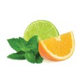 Citrus Mint シトラスミント FUMARI 100g