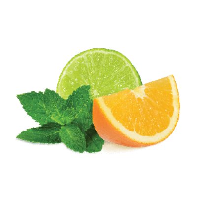 画像1: Citrus Mint シトラスミント FUMARI 100g