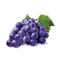 Purple Grape パープルグレープ FUMARI 100g