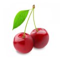 Sour Cherry サワーチェリー FUMARI 100g