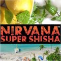 Lemon Beach Party レモンビーチパーティ Nirvana 100g