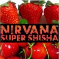 Redrum レッドラム Nirvana 100g