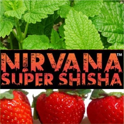 画像1: Salty Slug ソルティスラッグ Nirvana 100g