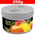 Mango Habanero マンゴーハバネロ  ◆Social Smoke 250g