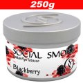 Blackberry ブラックベリー ◆Social Smoke 250g