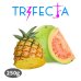 画像1: Pineapple Guava パイナップルグアバ Trifecta 250g (1)