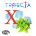 画像1: Twice The Ice X トゥワイスジアイスエックス Trifecta 250g (1)
