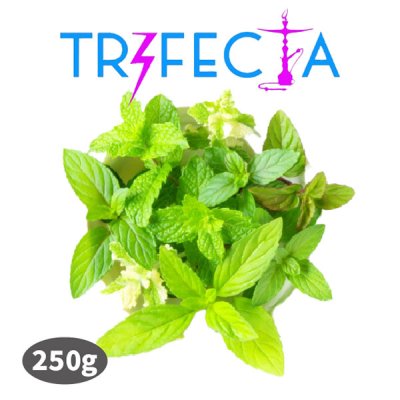 画像1: Mediterranean Mint メディトレニアンミント Trifecta 250g