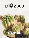 CACTUS カクタス Dozaj 50g