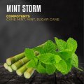 MINT STORM Dozaj BLACK 100g