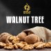 画像1: WALNUT TREE Dozaj BLACK 100g (1)