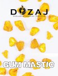 GUM MASTIC ガムマスティック Dozaj 50g