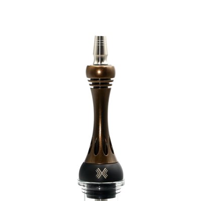 画像5: アルファ ALPHA model-X Bronze