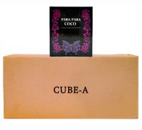 【CASE】パラパラココ 炭 CUBE-A×10