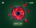 CHERRY FUEL チェリーフューエル SPACE SMOKE 30g