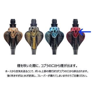 画像2: モダンパイプ -COBRA- ブルー