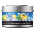Arctic Lemon アーキテックレモン Social Smoke 100g