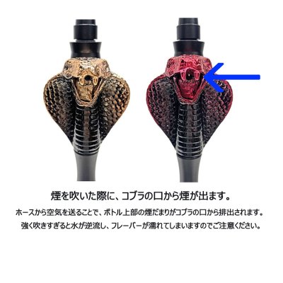 画像2: モダンパイプ -COBRA- ORANGE