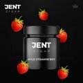 WILD STRAWBERRY ワイルドストロベリー JENT Cigar 100g