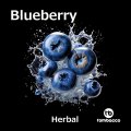 Blueberry ブルーベリー Tombacco HERBAL 50g