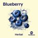 画像1: Blueberry ブルーベリー Tombacco HERBAL 50g (1)