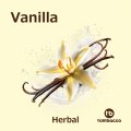 Vanilla バニラ Tombacco HERBAL 50g