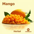 Mango マンゴー Tombacco HERBAL 50g