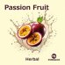 画像1: Passion Fruit パッションフルーツ Tombacco HERBAL 50g (1)
