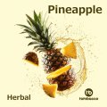 Pineapple パイナップル Tombacco HERBAL 50g