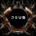 画像1: GYNNESS ギネス DEUS 100g (1)