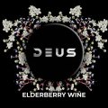 ELDERBERRY WINE エルダーベリーワイン DEUS 100g