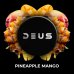画像1: PINEAPPLE MANGO パイナップルマンゴー DEUS 100g (1)