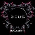 BLACKBERRY ブラックベリー DEUS 100g