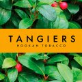 Wintergreen ウィンターグリーン Tangiers 100g