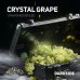 画像1: CRYSTAL GRAPE クリスタルグレープ DARK SIDE 100g (1)