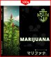 画像2: 100g Marijuana マリファナ JENT (2)