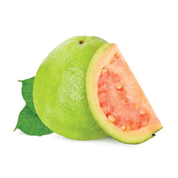 画像1: Guava グアバ FUMARI 100g (1)