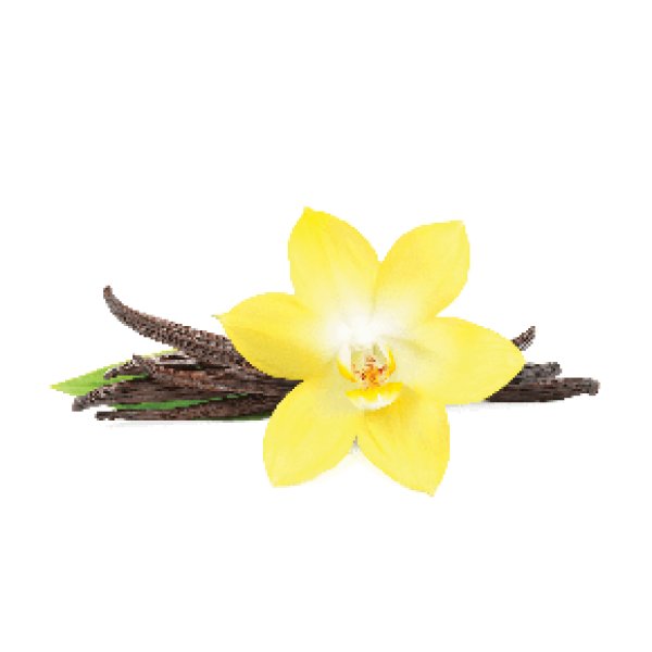 画像1: French Vanilla フレンチバニラ FUMARI 100g (1)