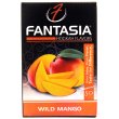 画像1: Wild Mango ワイルドマンゴー FANTASIA 50g (1)