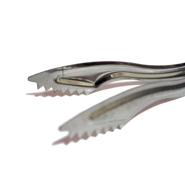 画像5: トング（16cm）A (5)