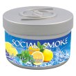 画像1: Arctic Lemon アーキテックレモン Social Smoke 100g (1)