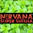 画像1: Punish Mint パニッシュミント Nirvana 100g (1)