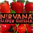 画像1: Redrum レッドラム Nirvana 100g (1)