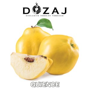 画像: QUIENCE クインス Dozaj 50g