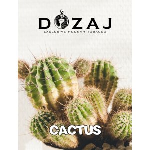 画像: CACTUS カクタス Dozaj 50g