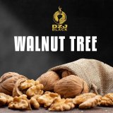 画像: WALNUT TREE Dozaj BLACK 100g