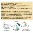 画像4: ブチ消す（消臭殺菌洗剤）500mL (4)
