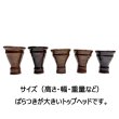 画像2: エジプシャンボウル Ｌ (2)
